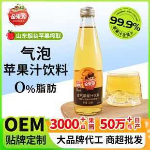 Factory bubble water apple juice drink fruit juice soda summer carbonated drink 0 fat fruit drink wholesale