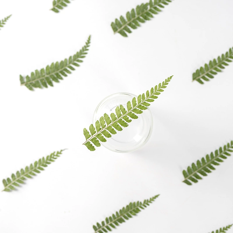 Dryopteris боковой лист цветок тиснение гель капля сушеный цветок чехол для мобильного телефона DIY Закладка поздравительная открытка цветочное искусство