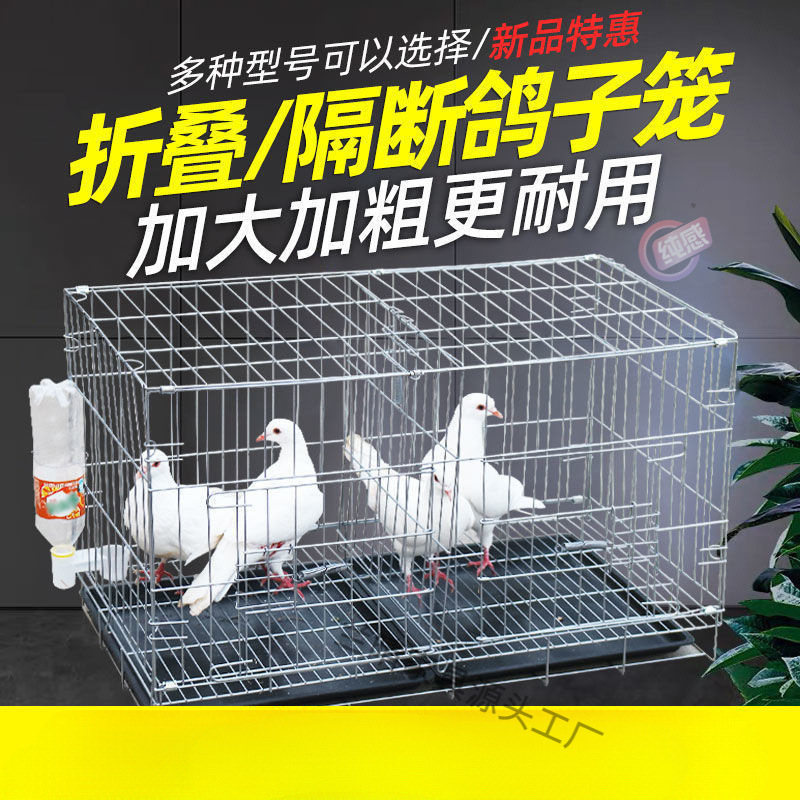 鸽子笼养殖笼大号家用折叠带隔断繁殖配对鸽子笼鸡笼鸟笼用品