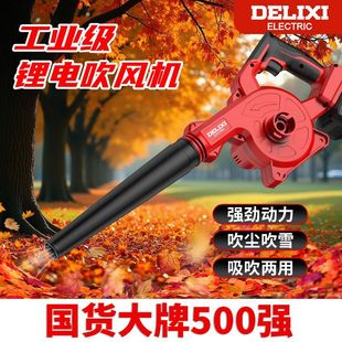 Delixi lithium electric blower high-power industrial hair dryer powerful snow blower household dust gun vacuum cleaner
