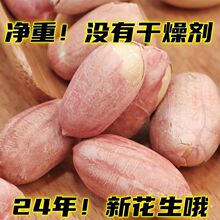 ���؟o������㻨���׻������������ζ�¾Ʋ���ʳ���e��؛ɢ�b