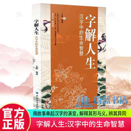 字解人生 汉字中的生命智慧人生哲学智慧国学经典画说汉字文字+杨