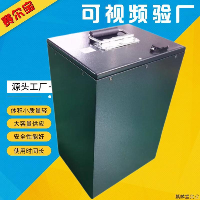 外卖蓄电池 60v 72v 聚合物锂电池钠电池 大容量动力电瓶适用