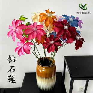 3�^�ʯɏ ��c���üҾ��b[�ŔzӰ�ٻ��ʯɏ�����滨����ٻ�