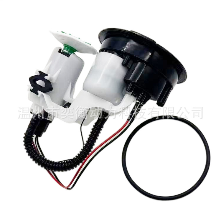 Cross-border applicable 7710721 BMW motorcycle S1000RR.S1000K46 2009-2014 model fuel pump