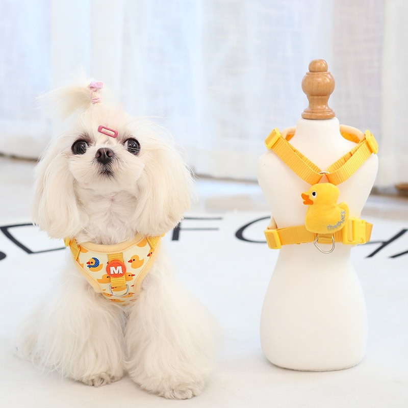 Explosions Cat and Dog Universal Pet Traction Chest and Back Cute Cartoon Going Out for Pets Essential Artifact Traction Pet Supplies