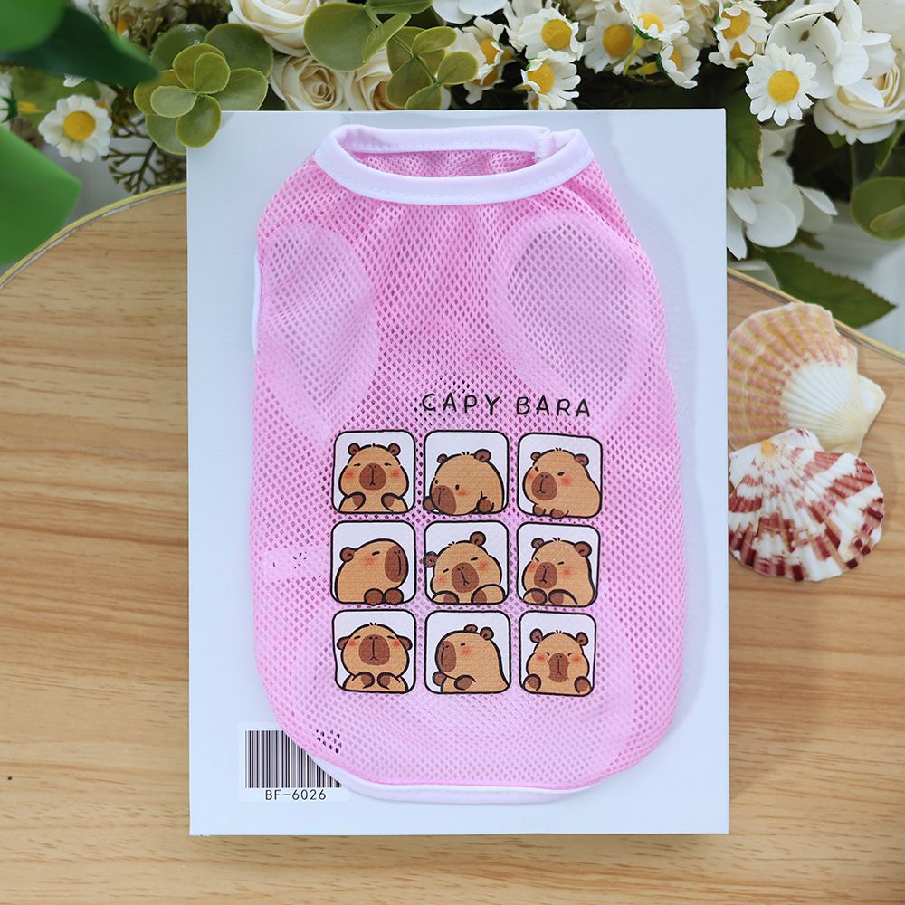 핑크