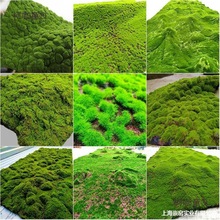 ����̦�\�������b��΢�˹���̦�쾰���^���b̦�\�b�ƴ�Ӳ���̫��