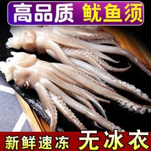 小鱿鱼须新鲜冷冻鱿鱼头冰冻鱿鱼须批发 章鱼足八爪鱼海鲜烧烤串