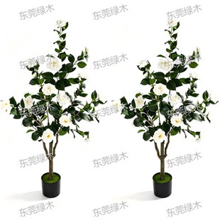 Artificial Camellia Potted Plant ɽ�軨�������Ԣ�