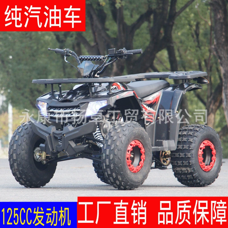 Малий бик ATV 125cc чотири колеса позашляховик все-террейн ATV малий гірський велосипед прямі поставки з заводу