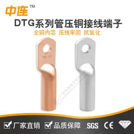 DTG管压鼻铜鼻子镀锡线鼻子接线端子紫铜线耳电线电缆终端铜接头