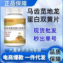 爆款李时珍马齿苋地龙双花片厂家直销现货批发可定可代一件可批