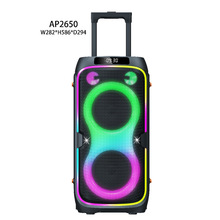 party box6.5�����U120w�����Ɍ�����RGB����o���{���������