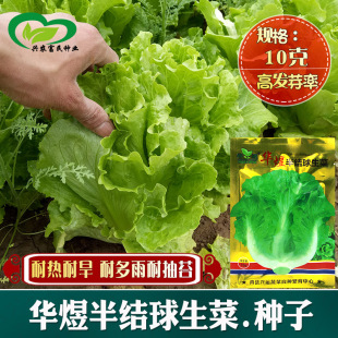 ��Y�����˷N�� �r��ˈ@�����Դ��������Y�������߲���