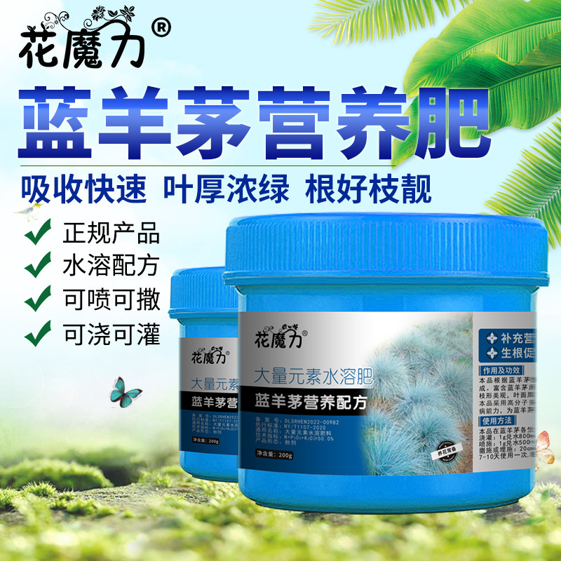 Special Nutritional Fertilizer for Blue Fescue, Yunnan Fescue Orchid Wool Bonsai Courtyard Indoor Ground Plant Fertilizer for All Year Round Maintenance