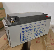 理士蓄电池DJM1265S 12V65Ah阀控式免维护太阳能蓄电池 质保三年