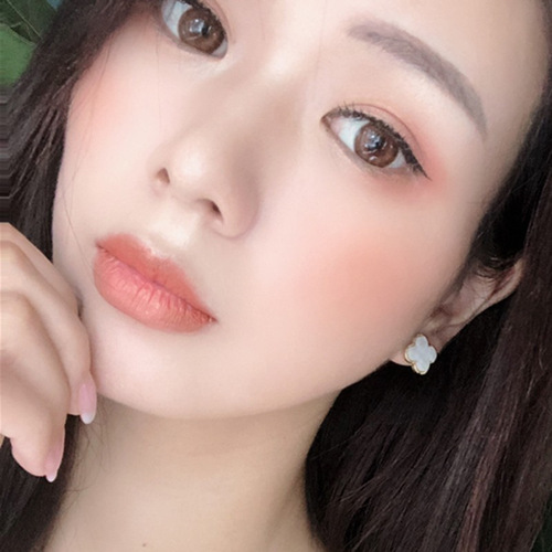 Korean cute colorful acrylic earrings high-end simple four-leaf clover earrings versatile internet celebrity INS925 silver needle for women