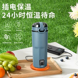 电热杯;电热水壶