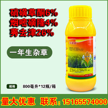 ��ͨӯ 36%��&middot;��&middot;ݬȥ�����������һ�����s���rș���݄�800ml