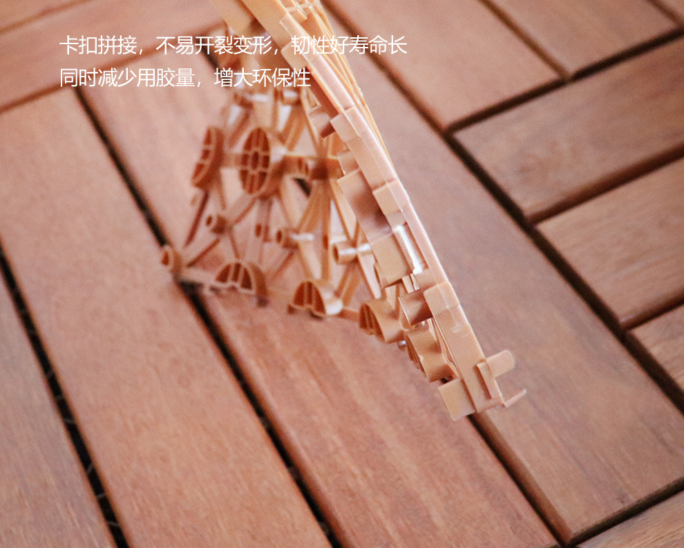 重蚁木30_17.jpg