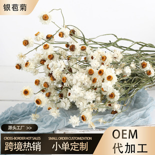 �y���ոɻ� �r��DIY�������¿͏d�b��Ĕz������Ȼ�L���滨������