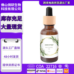 国境を越えたホットセールオーガニックローズマリーエッセンシャルオイルヘアケアローズマリーキャ Castor Complex Hair Care Essential Oil