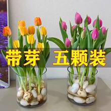 ������N��ˮ�໨�ܾGֲ�����ذ�ֲ���҃����ļ��_�����B�ͺ����N