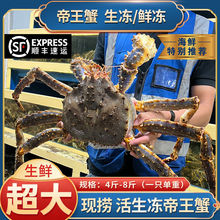 鲜活帝王蟹生冻海鲜水产特大螃蟹冰鲜冰冻超大皇帝蟹长脚蟹4-9斤