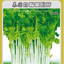 喜良蔬菜种子泰国白骨黄心芹菜种子（712）基地田园阳台盆栽500克