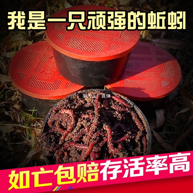 Earthworm Live Bait, Fresh Red Worms, Fishing Bait, Crucian Carp, Carp, Wild Fishing, Black Pit Fish Food, Nesting Material, Fish Food, Yutian