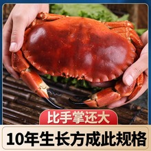 �������з����ĸз���SӢ��ԭ�b�M���S��з�����ك��з���r�Y��