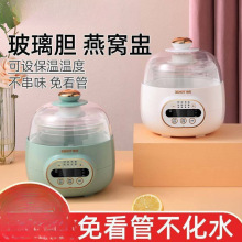 小電燉鍋燕窩電燉盅玻璃多功能隔水燉煲湯鍋養生銀耳家用