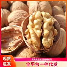 185��Ƥ���ұ�Ƥ�����ք�����Ҳݱ��Թ��ɹ���ʳ�óԲ��F�����