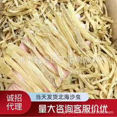 北海産の砂虫の乾物、軽く乾燥させた砂のない大きな乾燥砂虫、約500尾、500gの乾燥海産物の卸売