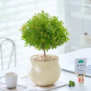 С�~��骘����辰����Ϙ������ļ�����͏d�k��������Gֲ������