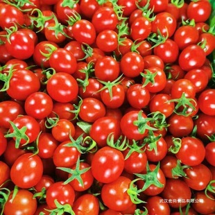 �V���Fժ�}Ů������С�������t���߲��ЋD���rˮ�����������ǧ��