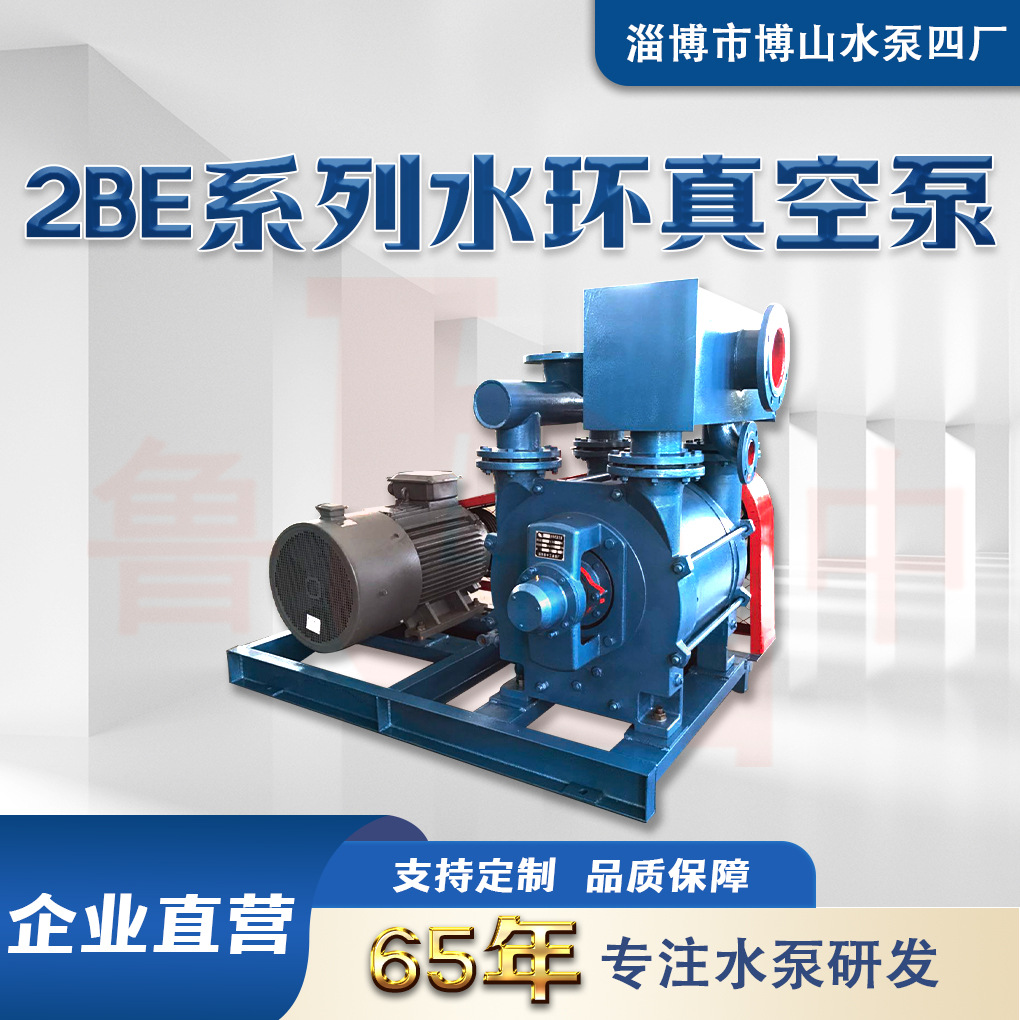 2BE670型水环式真空泵及压缩机液环式真空泵铸铁负压设备高真空度