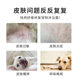 Atlantic Cedar Soothing Repair Pet Body Soap Pet Anti-inflammatory Conditioning Dog Shampoo Bath