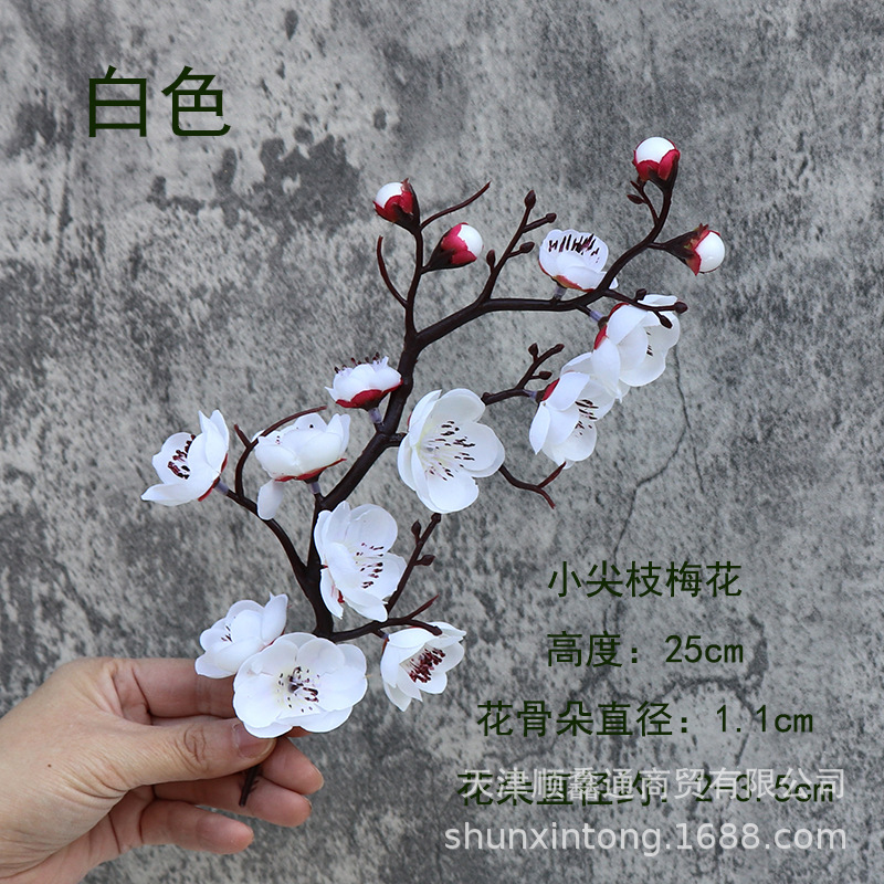 작은 팁 매화 (25cm) 흰색