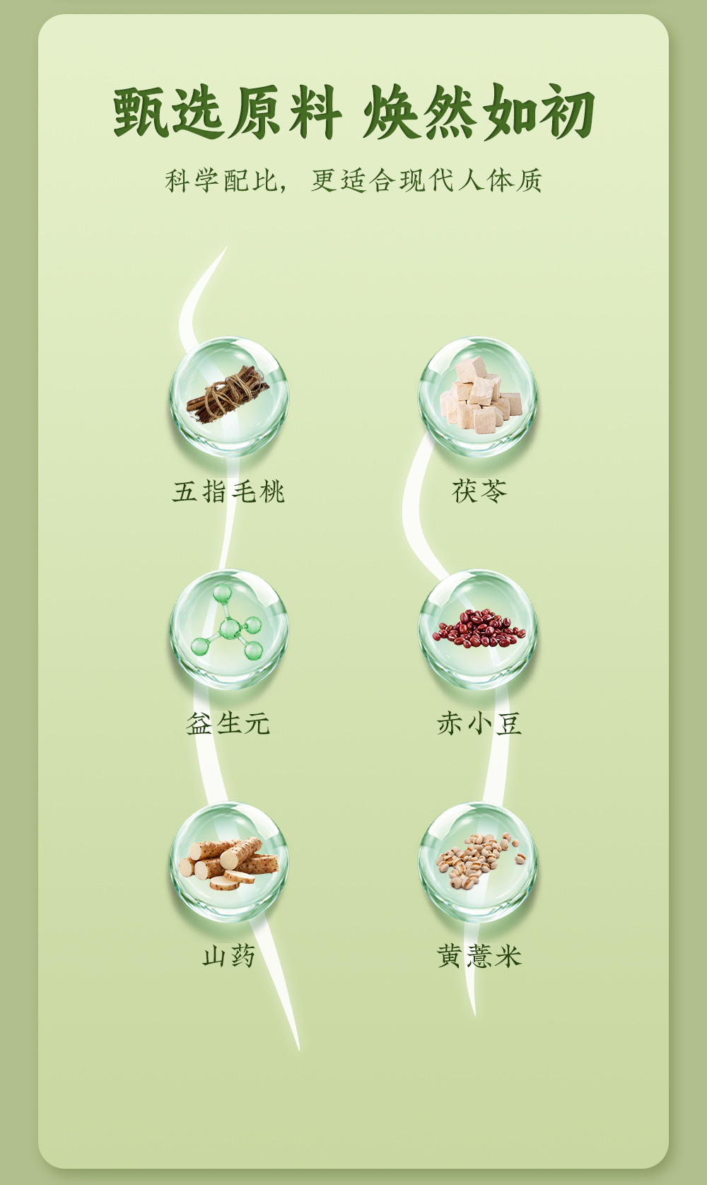 Wuzhimaotao Grain Powder (Radix Fici Simplicissimae) — Herbal Drink Mix with Coix Seed, Oats & Adzuki Bean overview