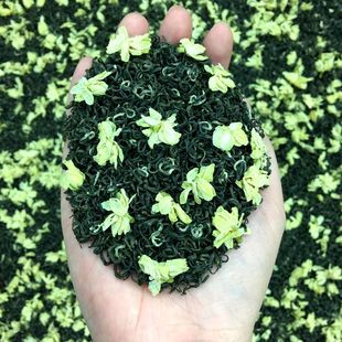 2025���²��~���l�Ű�����ɢ�b���򻨲�ë��7񿼚�������hѩ����