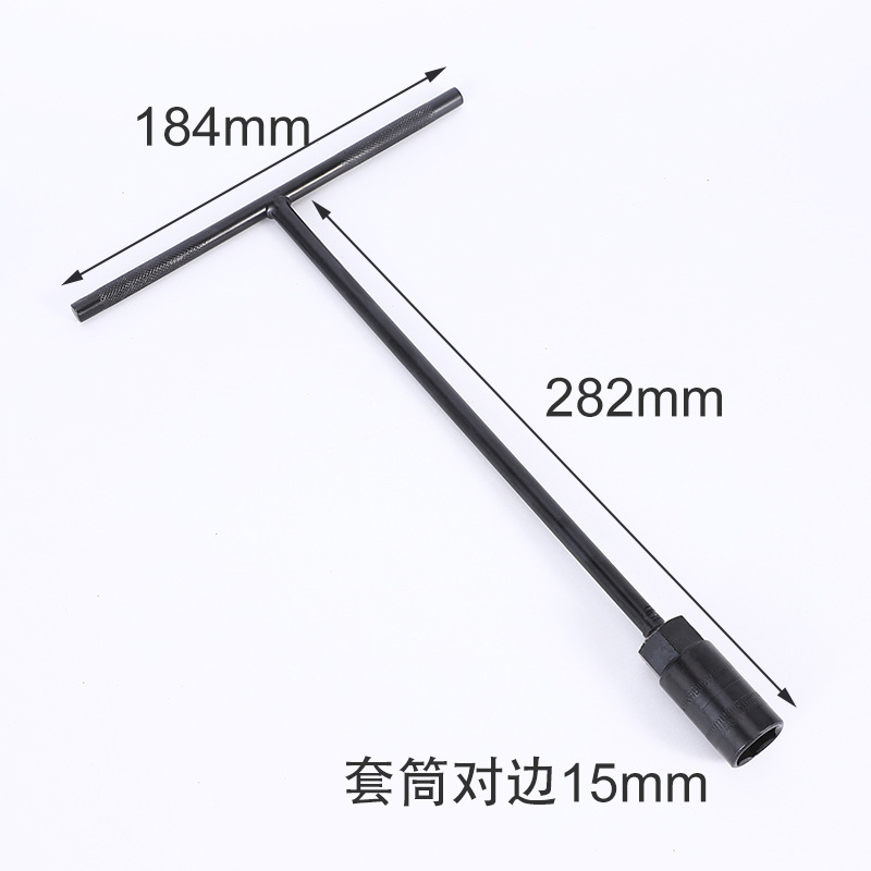 15(전기영동 T형)