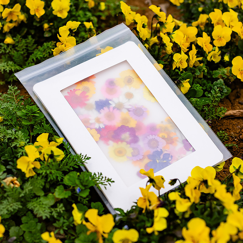 ドライフラワー保管袋植物標本押し花手作りdiyエンボス工具セット材料バッグ収納袋|undefined