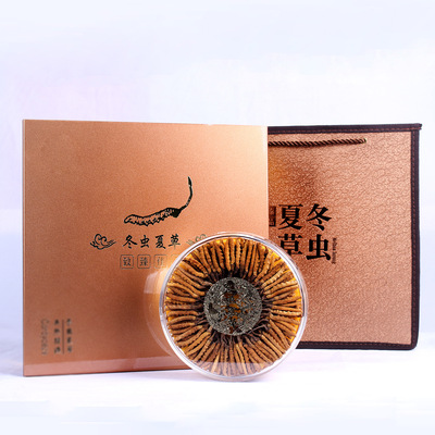 祁凤堂西藏那曲冬虫夏草礼盒装4根/克一件代发源头虫草足干无断