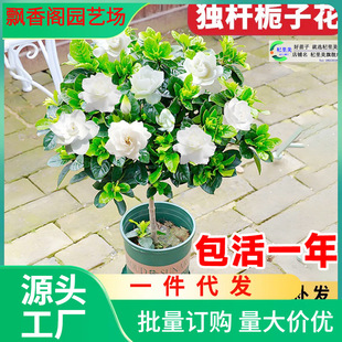 һ�����l���U�����Ǘd�ӻ����Ԏ��������~�Ϙ�Φ�Ә���ĵ���ļ��_