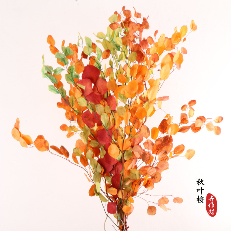 Yongsheng eucalyptus leaf autumn color Yongsheng Apple Leaf round leaf big leaf autumn color leaf Valentine's Day bouquet flower decoration Yongsheng eucalyptus leaf autumn color Yongsheng Apple Leaf round leaf big leaf autumn color leaf Valentine's Day bouquet flower decoration