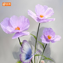 ���������˻�ˇ�Ɍ��b��ͼ�ˇ��������ꐾW�t��䁙������߲���