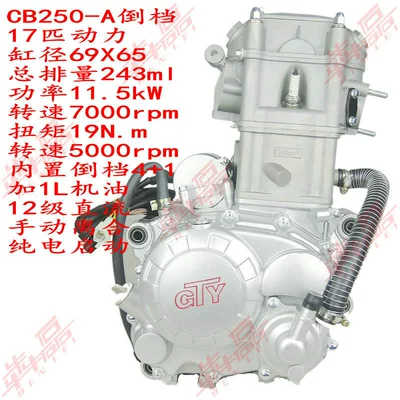 Benlei Zongshen Cb250-A Water-Cooled Built-In Reverse Gear 4+1 Atv Sidecar Motorcycle Engine (Motorcycle engine and accessories) - gtycb250-a-built-in-reversere-conventional-clutch