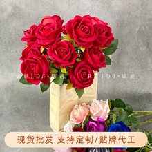 ���Ɔ�ֻ�q������õС�^õ���c�����Ĕz���߱������b������Q